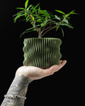 Organic Textured Flower Vase, Minimalist Home Decor, Muxel