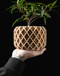 Modern Classic Accent Vase, Contemporary Table Decor, Torio