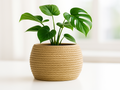 Knotted Sculptural Accent Vase, Japandi Table Decor, Nodo