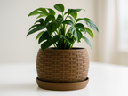 Woven Textured Accent Vase, Minimalist Table Decor, Trama