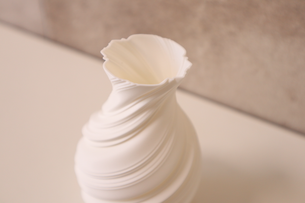 Botanical Organic Art Vase, Modern Room Accent, Flora