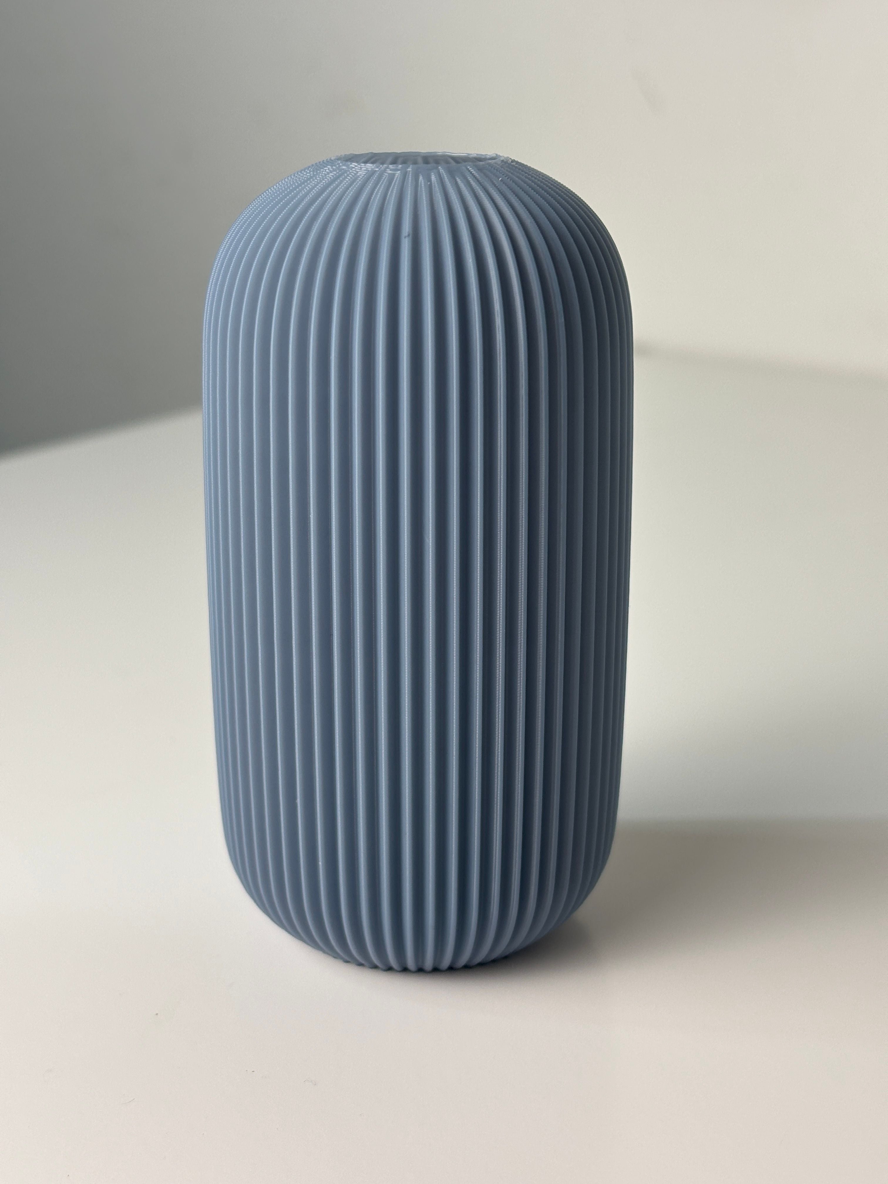 Curved Graceful Art Vase, Minimalist Room Accent, Curva