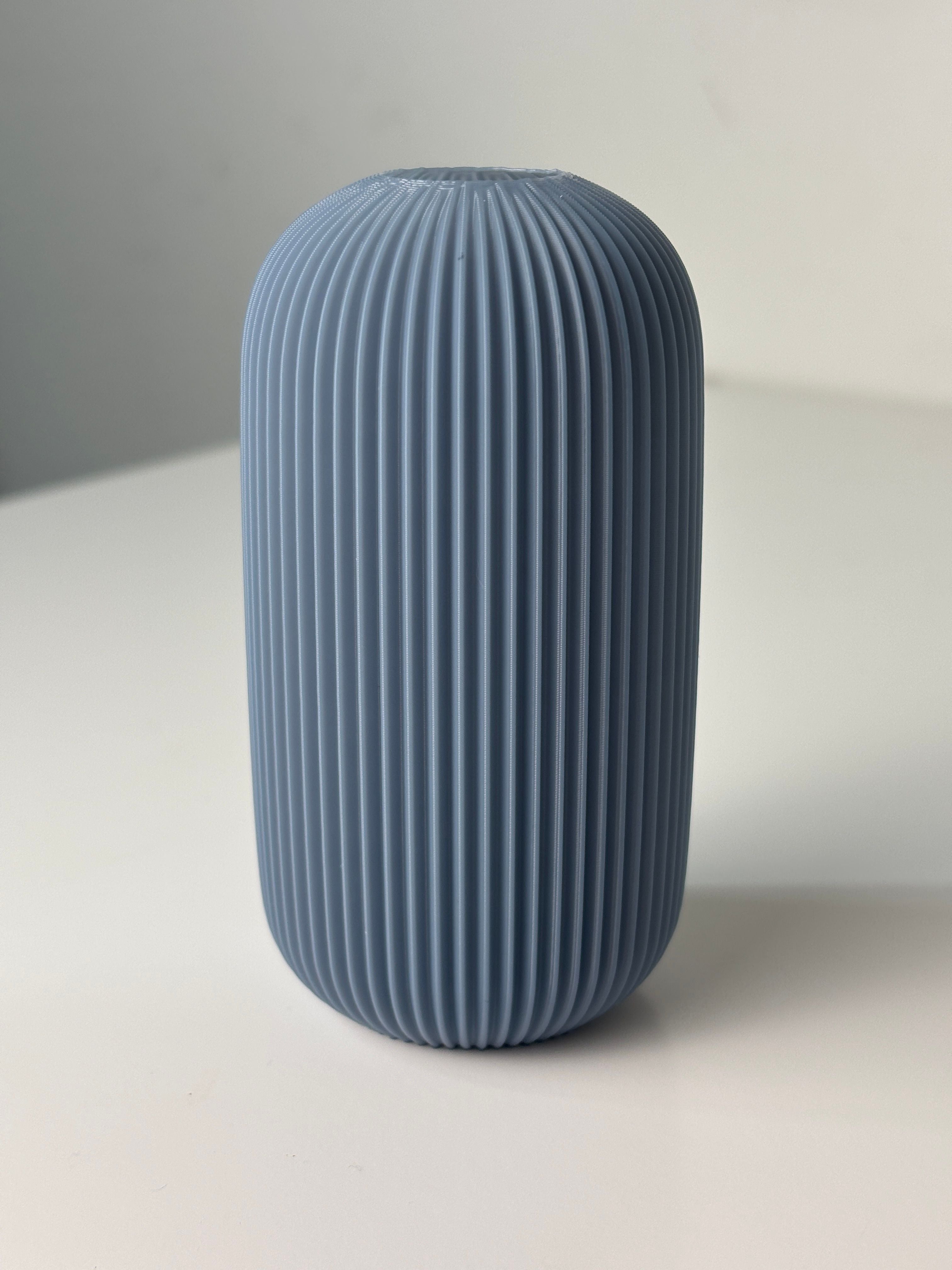 Curved Graceful Art Vase, Minimalist Room Accent, Curva