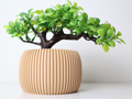 Classic Sculptural Flower Vase, Modern Home Decor, Base