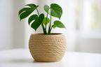 Knotted Sculptural Accent Vase, Japandi Table Decor, Nodo