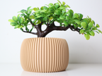Classic Sculptural Flower Vase, Modern Home Decor, Base