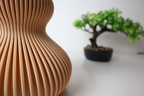 Airy Airy Decorative Vase, Japandi Living Room Art, Leve